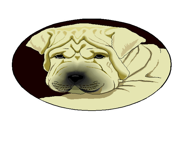 PET PORTRAITS